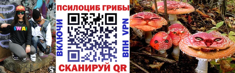 магазин продажи   Мглин  Псилоцибиновые грибы мицелий 